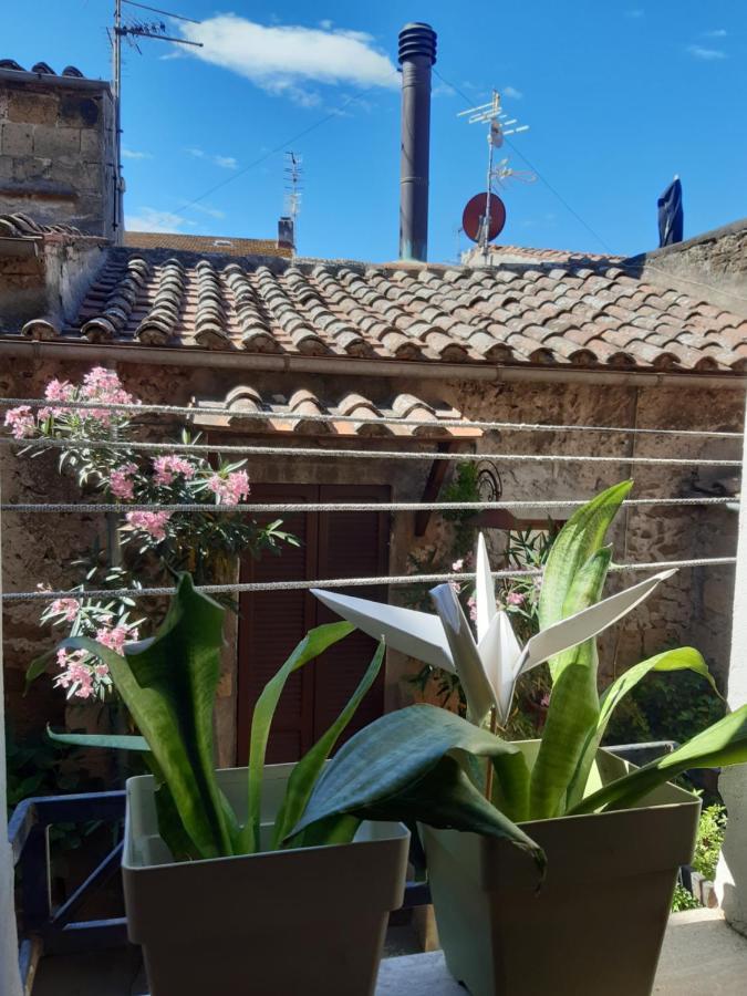 Ferienwohnung Casa Il Girasole Pitigliano Exterior foto